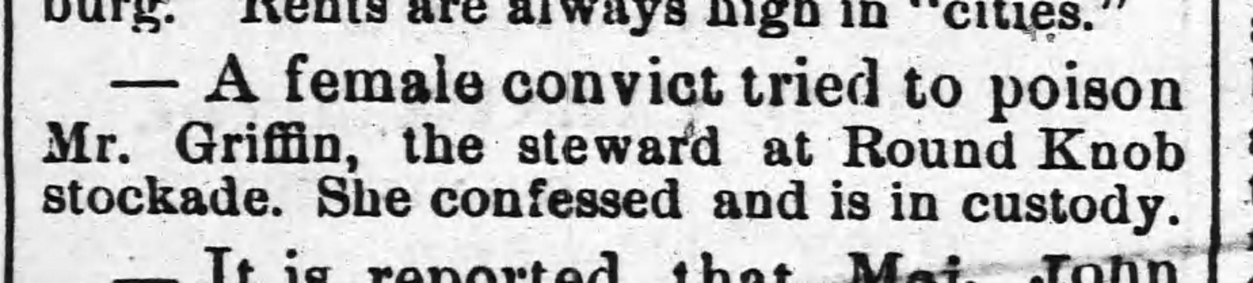 The_Wilmington_Morning_Star_Tue__Apr_17__1877_female